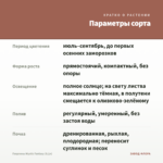 Георгины Mystic Fantasy (0,1л) — параметры сорта
