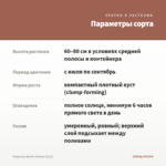 Георгины Mystic Fantasy (0,1л) — параметры сорта
