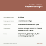 Георгины Mystic Fantasy (срезы/3шт) — параметры сорта
