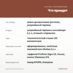Георгины XXL Berry Blast (0,1л) — что приедет