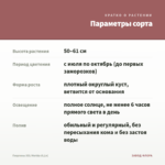 Георгины XXL Merida (0,1л) — параметры сорта
