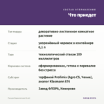 Гинура Вариегатная (0,1л) — что приедет