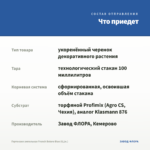 Гортензия ампельная French Bolero Blue (0,1л.) — что приедет