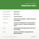 Гортензия ампельная Runaway Bride (0,1л.) — параметры сорта