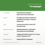 Гортензия ампельная Runaway Bride (0,1л.) — что приедет