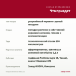 Гвоздика Ампельная Red (0,1л) — что приедет