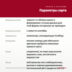 Гвоздика Ампельная Red (срез/3 шт) — параметры сорта