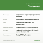 Гвоздика ампельная White (0,1л) — что приедет