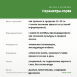 Гвоздика ампельная White (срез/3 шт) — параметры сорта