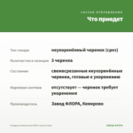 Гвоздика ампельная White (срезы/3шт) — что приедет