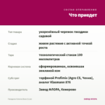 Гвоздика Colores Beso (0,1л) — что приедет