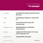 Гвоздика Colores Beso (0,1л) — что приедет