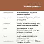 Гвоздика Colores Dulce (0,1л) — параметры сорта