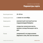 Гвоздика Colores Dulce (0,1л) — параметры сорта
