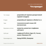 Гвоздика Colores Dulce (0,1л) — что приедет