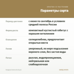 Гвоздика Colores Sol (0,1л) — параметры сорта