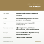 Гвоздика Colores Sol (0,1л) — что приедет
