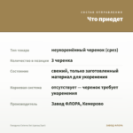 Гвоздика Colores Sol (срезы/3шт) — что приедет