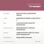 Гвоздика Dia Deur Giulia (0,1л) — что приедет