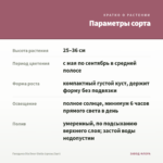Гвоздика Dia Deur Giulia (срезы/3шт) — параметры сорта
