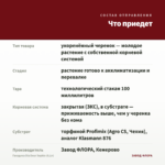 Гвоздика Dia Deur Sophie (0,1л) — что приедет