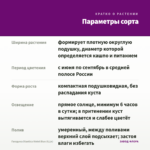 Гвоздика Diantica Violet Blue (0,1л) — параметры сорта