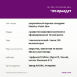 Гвоздика Diantica Violet Blue (0,1л) — что приедет