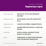 Гвоздика Diantica Violet Blue (0,1л) — параметры сорта