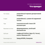 Гвоздика Diantica Violet Blue (0,1л) — что приедет