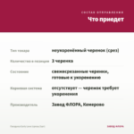 Гвоздика Early Love (срезы/3шт) — что приедет