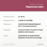 Гвоздика Flow Glen Bay (0,1л) — параметры сорта