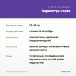 Гвоздика Flow Glen Bay (срезы/3шт) — параметры сорта