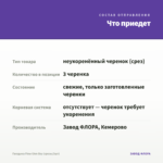 Гвоздика Flow Glen Bay (срезы/3шт) — что приедет