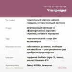 Гвоздика Flow Shark Bay (0,1л) — что приедет