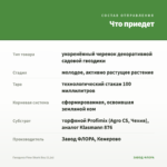 Гвоздика Flow Shark Bay (0,1л) — что приедет