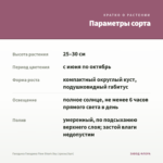 Гвоздика Гвоздика Flow Shark Bay (срезы/3шт) — параметры сорта