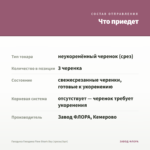 Гвоздика Гвоздика Flow Shark Bay (срезы/3шт) — что приедет