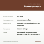 Гвоздика Oriental Palm Beach (срезы/3шт) — параметры сорта