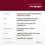 Гвоздика Oscar Dark Red (0,1л) — что приедет
