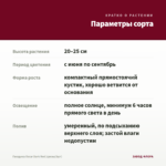 Гвоздика Oscar Dark Red (срезы/3шт) — параметры сорта