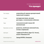 Гвоздика Oscar Neon Pink (0,1л) — что приедет