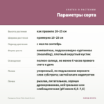 Гвоздика Oscar Pink Heart (0,1л) — параметры сорта