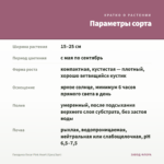 Гвоздика Oscar Pink Heart (Срез/3шт) — параметры сорта