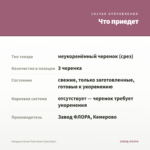 Гвоздика Oscar Pink Heart (Срез/3шт) — что приедет