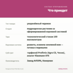Гвоздика Oscar Pink Star (0,1л) — что приедет