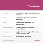 Гвоздика Oscar Pink Star (0,1л) — что приедет