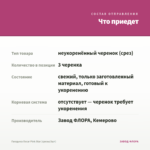 Гвоздика Oscar Pink Star (срезы/3шт) — что приедет