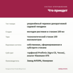 Гвоздика Oscar Purple Wings (0,1л) — что приедет