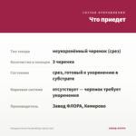 Гвоздика Oscar Purple Wings (срез/3 шт) — что приедет