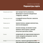 Гвоздика Sprint Specials Peman Fancy (0,1л) — параметры сорта